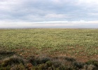 Alcolea de Cinca   Elly van Zonneveld